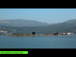 Illas Alvedosas coa marea chea
 