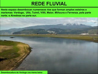 REDE FLUVIAL
Neste espazo desembocan numerosos ríos que forman amplos esteiros e
marismas: Verdugo, Ulló, Tuimil, Villil, Maior, Miñouva e Fervenza, pola parte
norte; e Alvedosa na parte sur.
Desembocadura do Verdugo coa marea baixa
 