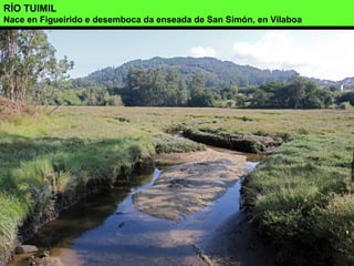 RÍO TUIMIL
Nace en Figueirido e desemboca da enseada de San Simón, en Vilaboa
 