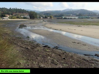 Río Ulló coa marea baixa
 