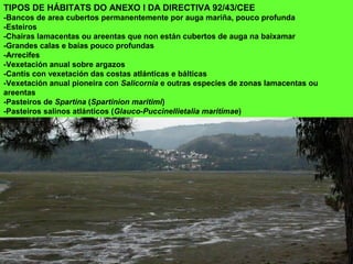 TIPOS DE HÁBITATS DO ANEXO I DA DIRECTIVA 92/43/CEE
-Bancos de area cubertos permanentemente por auga mariña, pouco profunda
-Esteiros
-Chairas lamacentas ou areentas que non están cubertos de auga na baixamar
-Grandes calas e baías pouco profundas
-Arrecifes
-Vexetación anual sobre argazos
-Cantís con vexetación das costas atlánticas e bálticas
-Vexetación anual pioneira con Salicornia e outras especies de zonas lamacentas ou
areentas
-Pasteiros de Spartina (Spartinion maritimi)
-Pasteiros salinos atlánticos (Glauco-Puccinellietalia maritimae)
 