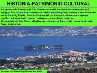Cesantes e as illas de San Simón e San Antón
HISTORIA-PATRIMONIO CULTURAL
A contorna da Enseada de San Simón zona está habitada desde tempos moi
antigos. Por toda a área costeira consérvanse petróglifos, castros e asentamentos
de moita antigüidade. Na actualidade está densamente poboada e o espazo
mariño moi explotado: pesca, marisqueo, acuicultura, turismo...
Na enseada de San Simón atópábanse os famosos bancos de ostras de Arcade,
hoxe esgotados.
 