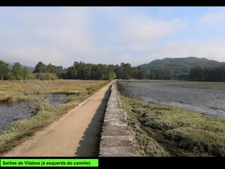 Saíñas de Vilaboa (á esquerda do camiño)
 