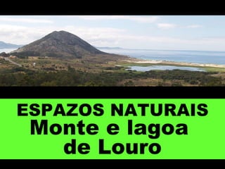 ESPAZOS NATURAIS
Monte e lagoa
de Louro
 