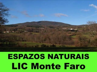 ESPAZOS NATURAIS
LIC Monte Faro
 