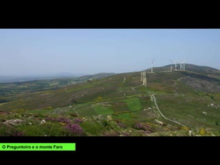 O Preguntoiro e o monte Faro
 