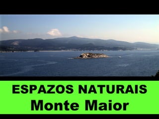 ESPAZOS NATURAIS
Monte Maior
 