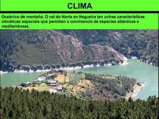 Oceánico de montaña. O val do Navia en Negueira ten unhas características
climáticas especiais que permiten a convivencia de especies atlánticas e
mediterráneas.
CLIMA
 