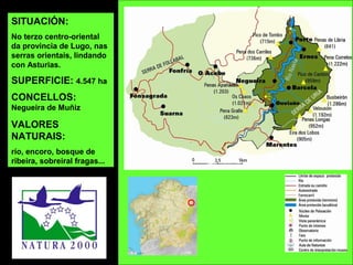 SITUACIÓN:
No terzo centro-oriental
da provincia de Lugo, nas
serras orientais, lindando
con Asturias.
SUPERFICIE: 4.547 ha
CONCELLOS:
Negueira de Muñiz
VALORES
NATURAIS:
río, encoro, bosque de
ribeira, sobreiral fragas...
 