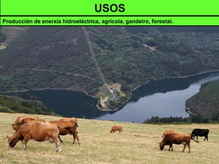 USOS
Producción de enerxía hidroeléctrica, agrícola, gandeiro, forestal.
 