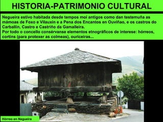 HISTORIA-PATRIMONIO CULTURAL
Negueira estivo habitada desde tempos moi antigos como dan testemuña as
mámoas de Foxo e Vilauxín e a Pena dos Encantos en Ouviñao, e os castros do
Carballín, Castro e Castriño da Gamalleira.
Por todo o concello consérvanse elementos etnográficos de interese: hórreos,
cortíns (para protexer as colmeas), ouriceiras...
Hórreo en Negueira
 