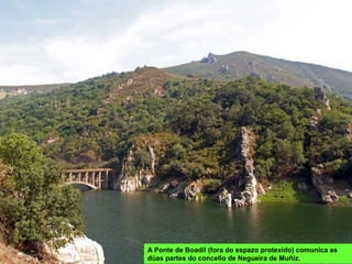 A Ponte de Boadil (fora do espazo protexido) comunica as
dúas partes do concello de Negueira de Muñiz.
 