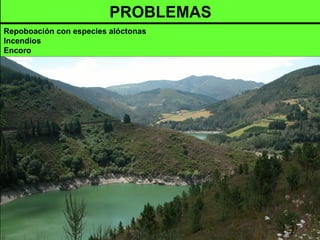 PROBLEMAS
Repoboación con especies alóctonas
Incendios
Encoro
 