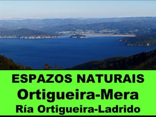 ESPAZOS NATURAIS
Ortigueira-Mera
Ría Ortigueira-Ladrido
 