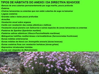 TIPOS DE HÁBITATS DO ANEXO I DA DIRECTIVA 92/43/CEE
-Bancos de area cubertos permanentemente por auga mariña, pouco profunda
-Esteiros
-Chairas lamacentas ou areentas que non están cubertos de auga na baixamar
-Lagoas costeiras
-Grandes calas e baías pouco profundas
-Arrecifes
-Vexetación anual sobre argazos
-Cantís con vexetación das costas atlánticas e bálticas
-Vexetación anual pioneira con Salicornia e outras especies de zonas lamacentas ou areentas
-Pasteiros de Spartina (Spartinion maritimi)
-Pasteiros salinos atlánticos (Glauco-Puccinellietalia maritimae)
-Matogueiras halófilas mediterráneas e termoatlánticas (Sarcocornetea fructicosae)
-Dunas móbiles embrionarias
-Dunas móbiles de litoral con Ammophila arenaria (dunas brancas)
-Dunas costeiras fixas con vexetación herbácea (dunas grises)
-Depresións intradunales húmidas
-Dunas con céspedes do Malcolmietalia
 
