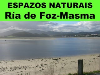 ESPAZOS NATURAIS
Ría de Foz-Masma
 