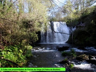 O Cabe nas proximidades de Pacios da Veiga (A Pobra do Brollón)
 