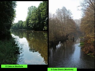 O Cabe en Monforte
O Cabe Distriz (Monforte)
 