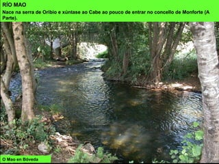 O Mao en Bóveda
RÍO MAO
Nace na serra de Oribio e xúntase ao Cabe ao pouco de entrar no concello de Monforte (A
Parte).
 