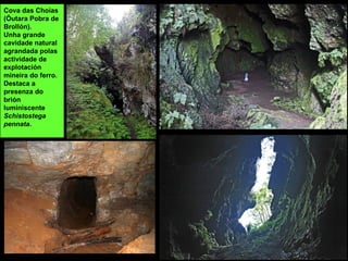 Cova das Choias
(Óutara Pobra de
Brollón).
Unha grande
cavidade natural
agrandada polas
actividade de
explotación
mineira do ferro.
Destaca a
presenza do
brión
luminiscente
Schistostega
pennata.
 