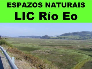 ESPAZOS NATURAIS
LIC Río Eo
 