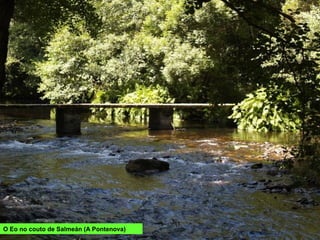 O Eo no couto de Salmeán (A Pontenova)
 