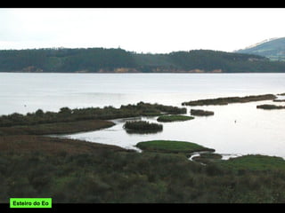 Esteiro do Eo
 
