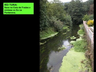 RÍO TURIA:
Nace no Coto de Frades e
xúntase co Eo na
Pontenova.
 