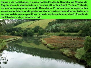 Inclúe a ría de Ribadeo, o curso do Río Eo desde Santalla, na Ribeira de
Piquín, ata a desembocadura e os seus afluentes Rodil, Turia e Trabada,
así como un pequeno tramo do Ramalledo. É unha área con importantes
valores ecolóxicos onde podemos atopar varias zonas diferenciadas cos
seus ecosistemas específicos: a costa rochosa de mar aberto fora da ría
de Ribadeo, a ría, o esteiro e o río.
 