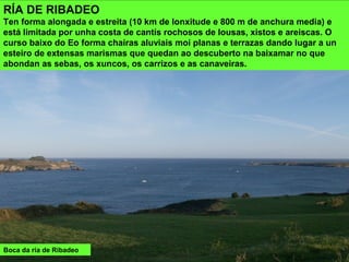 RÍA DE RIBADEO
Ten forma alongada e estreita (10 km de lonxitude e 800 m de anchura media) e
está limitada por unha costa de cantís rochosos de lousas, xistos e areiscas. O
curso baixo do Eo forma chairas aluviais moi planas e terrazas dando lugar a un
esteiro de extensas marismas que quedan ao descuberto na baixamar no que
abondan as sebas, os xuncos, os carrizos e as canaveiras.
Boca da ría de Ribadeo
 