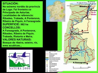 SITUACIÓN:
No extremo nordés da provincia
de Lugo. Fai fronteira co
Principado de Asturias.
Localidades de referencia:
Ribadeo, Trabada, A Pontenova,
Ribeira de Piquín, A Fonsagrada.
SUPERFICIE: 982 ha
CONCELLOS:
A Fonsagrada, A Pontenova,
Ribadeo, Ribeira de Piquín.
Trabada, Riotorto e Meira.
VALORES NATURAIS:
Bosque de ribeira, esteiro, río,
aves acuáticas...
 