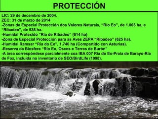 PROTECCIÓN
LIC: 29 de decembro de 2004.
ZEC: 31 de marzo de 2014
-Zonas de Especial Protección dos Valores Naturais, “Río Eo”, de 1.003 ha, e
“Ribadeo”, de 536 ha.
-Humidal Protexido “Ría de Ribadeo” (614 ha)
-Zona de Especial Protección para as Aves ZEPA “Ribadeo” (625 ha).
-Humidal Ramsar “Ría do Eo”, 1.740 ha (Compartido con Asturias).
-Reserva da Biosfera “Río Eo, Oscos e Terras de Burón”
-A área correspóndese parcialmente coa IBA 007 Ría do Eo-Praia de Barayo-Ría
de Foz, incluída no inventario de SEO/BirdLife (1998).
 