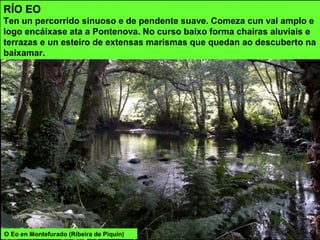 RÍO EO
Ten un percorrido sinuoso e de pendente suave. Comeza cun val amplo e
logo encáixase ata a Pontenova. No curso baixo forma chairas aluviais e
terrazas e un esteiro de extensas marismas que quedan ao descuberto na
baixamar.
O Eo en Montefurado (Ribeira de Piquín)
 