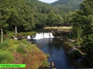 O Eo Ribeira de Piquín
 