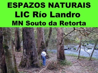 ESPAZOS NATURAIS
LIC Río Landro
MN Souto da Retorta
 