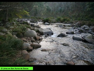 O Lérez en San Xurxo de Sacos
 
