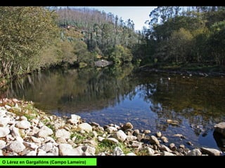 O Lérez en Gargallóns (Campo Lameiro)
 