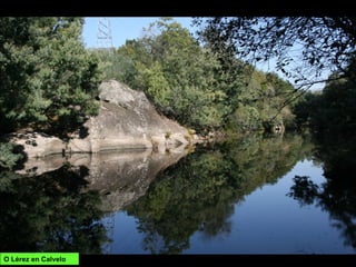 O Lérez en Calvelo
 