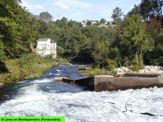 O Lérez en Monteporreiro (Pontevedra).
 