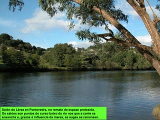 Salón do Lérez en Pontevedra, no remate do espazo protexido.
Os salóns son puntos do curso baixo do río nos que a canle se
ensancha e, grazas á influencia da marea, as augas se remansan.
 