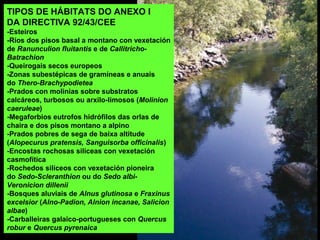 TIPOS DE HÁBITATS DO ANEXO I
DA DIRECTIVA 92/43/CEE
-Esteiros
-Ríos dos pisos basal a montano con vexetación
de Ranunculion fluitantis e de Callitricho-
Batrachion
-Queirogais secos europeos
-Zonas subestépicas de gramíneas e anuais
do Thero-Brachypodietea
-Prados con molinias sobre substratos
calcáreos, turbosos ou arxilo-limosos (Molinion
caeruleae)
-Megaforbios eutrofos hidrófilos das orlas de
chaira e dos pisos montano a alpino
-Prados pobres de sega de baixa altitude
(Alopecurus pratensis, Sanguisorba officinalis)
-Encostas rochosas silíceas con vexetación
casmofítica
-Rochedos silíceos con vexetación pioneira
do Sedo-Scleranthion ou do Sedo albi-
Veronicion dillenii
-Bosques aluviais de Alnus glutinosa e Fraxinus
excelsior (Alno-Padion, Alnion incanae, Salicion
albae)
-Carballeiras galaico-portugueses con Quercus
robur e Quercus pyrenaica
 