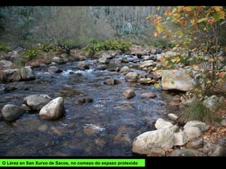 O Lérez en San Xurxo de Sacos, no comezo do espazo protexido
 