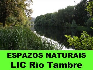 ESPAZOS NATURAIS
LIC Río Tambre
 