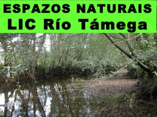 ESPAZOS NATURAIS
LIC Río Támega
 