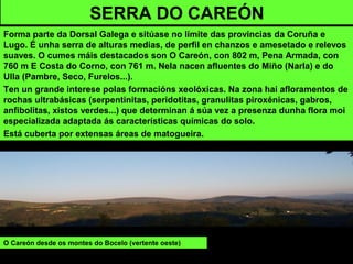 SERRA DO CAREÓN
Forma parte da Dorsal Galega e sitúase no límite das provincias da Coruña e
Lugo. É unha serra de alturas medias, de perfil en chanzos e amesetado e relevos
suaves. O cumes máis destacados son O Careón, con 802 m, Pena Armada, con
760 m E Costa do Corno, con 761 m. Nela nacen afluentes do Miño (Narla) e do
Ulla (Pambre, Seco, Furelos...).
Ten un grande interese polas formacións xeolóxicas. Na zona hai afloramentos de
rochas ultrabásicas (serpentinitas, peridotitas, granulitas piroxénicas, gabros,
anfibolitas, xistos verdes...) que determinan á súa vez a presenza dunha flora moi
especializada adaptada ás características químicas do solo.
Está cuberta por extensas áreas de matogueira.
O Careón desde os montes do Bocelo (vertente oeste)
 