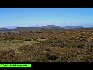 O Careón desde Pena Armada
 