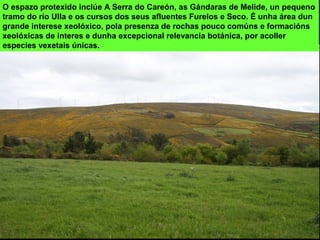 O espazo protexido inclúe A Serra do Careón, as Gándaras de Melide, un pequeno
tramo do río Ulla e os cursos dos seus afluentes Furelos e Seco. É unha área dun
grande interese xeolóxico, pola presenza de rochas pouco comúns e formacións
xeolóxicas de interes e dunha excepcional relevancia botánica, por acoller
especies vexetais únicas.
 