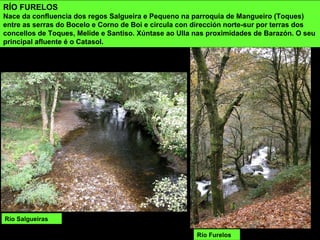 Río Salgueiras
RÍO FURELOS
Nace da confluencia dos regos Salgueira e Pequeno na parroquia de Mangueiro (Toques)
entre as serras do Bocelo e Corno de Boi e circula con dirección norte-sur por terras dos
concellos de Toques, Melide e Santiso. Xúntase ao Ulla nas proximidades de Barazón. O seu
principal afluente é o Catasol.
Río Furelos
 