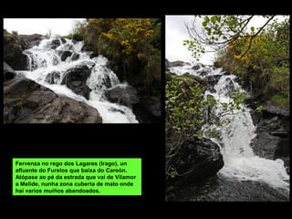 Fervenza no rego dos Lagares (Irago), un
afluente do Furelos que baixa do Careón.
Atópase ao pé da estrada que vai de Vilamor
a Melide, nunha zona cuberta de mato onde
hai varios muíños abandoados.
 
