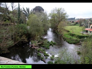 Río Furelos (Furelos, Melide)
 